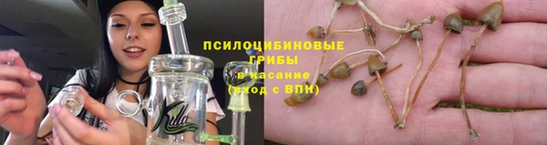 прущие крисы Костерёво