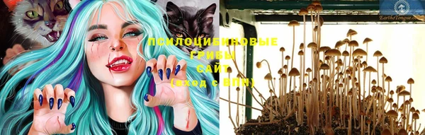 марки lsd Корсаков