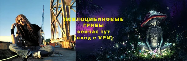 марки lsd Корсаков