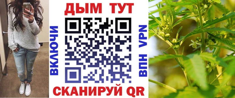 Канабис SATIVA & INDICA Жиздра