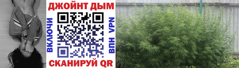 Бошки Шишки VHQ  Купить  Жиздра 